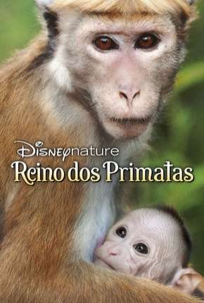 Filme O Reino dos Primatas 2015 Torrent