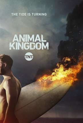 Série Animal Kingdom - 2ª Temporada Completa 2017 Torrent