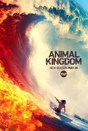 Série Animal Kingdom - 4ª Temporada Legendada 2019 Torrent