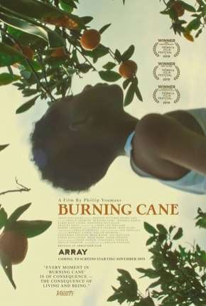 Filme Burning Cane - Legendado 2019 Torrent