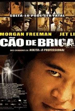Filme Cão de Briga - Unleashed 2005 Torrent