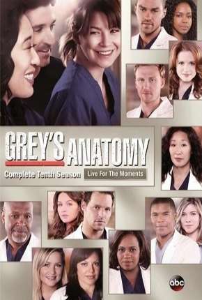 Série Greys Anatomy - 10ª Temporada - Completa 2013 Torrent