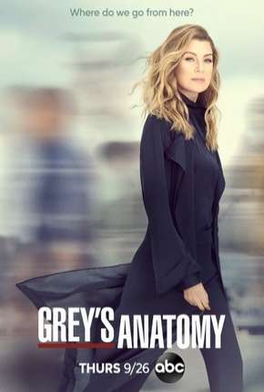 Série Greys Anatomy - A Anatomia de Grey 16ª Temporada Legendada 2019 Torrent