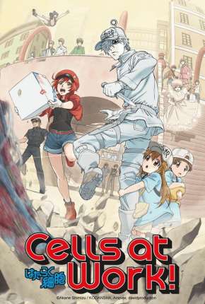 Anime Desenho Hataraku Saibou - Cells at Work 2018 Torrent
