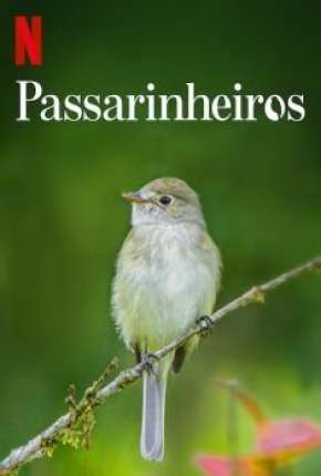 Filme Passarinheiros - Birders 2020 Torrent