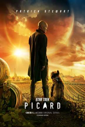 Série Star Trek - Picard - 1ª Temporada 2020 Torrent