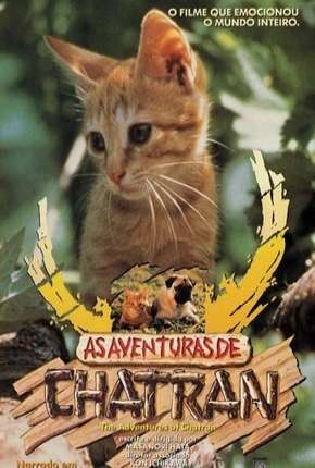 Torrent Filme As Aventuras de Chatran 1986 Dublado  completo