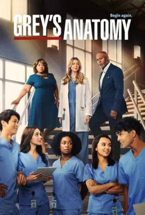 Série Greys Anatomy - 19ª Temporada 2022 Torrent