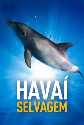 Torrent Série Havaí Selvagem 2014 Dublada 720p HD HDRIP completo