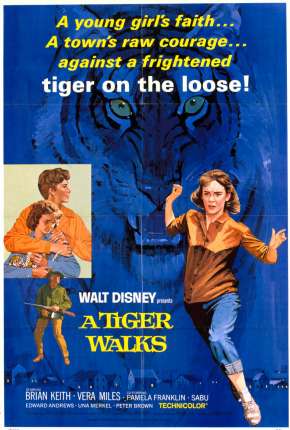 Filme Um Tigre Caminha pela Noite 1964 Torrent