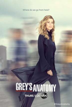 Série A Anatomia de Grey - 9ª Temporada 2012 Torrent