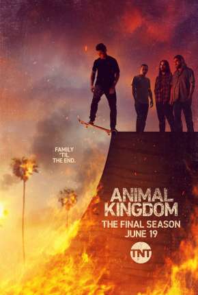 Série Animal Kingdom - 5ª Temporada Legendada 2021 Torrent