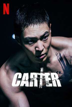 Carter Filmes Torrent Download Vaca Torrent