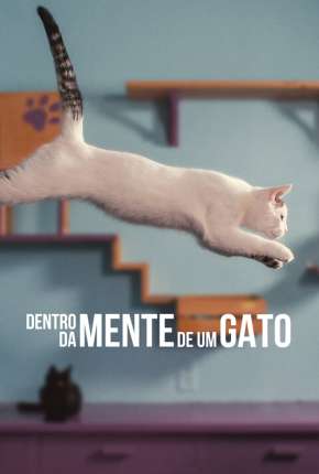 Torrent Filme Dentro da Mente de um Gato - Legendado 2022  1080p Full HD WEB-DL completo