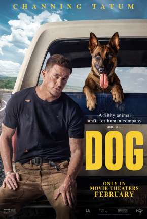 Torrent Filme Dog - A Aventura de Uma Vida 2022 Dublado 1080p BluRay Full HD completo