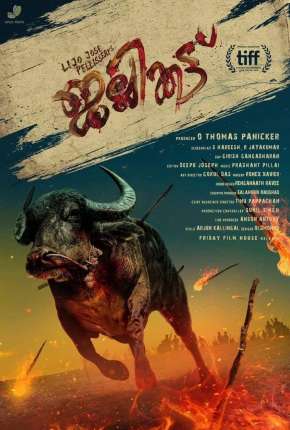 Filme Jallikattu - Legendado 2021 Torrent