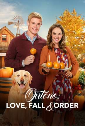 Filme Love, Fall e Order 2019 Torrent