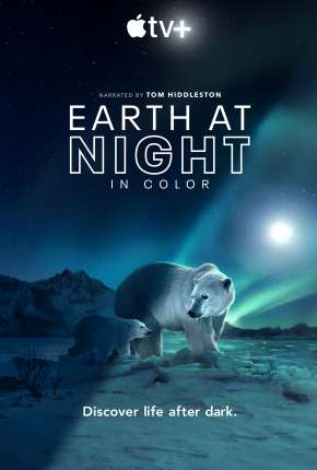 Série Noite na Terra em Cores - 1ª Temporada Completa Legendada 2020 Torrent
