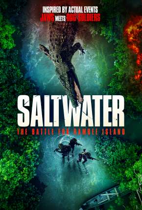 Filme Saltwater - The Battle for Ramree Island - Legendado 2021 Torrent