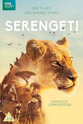 Serengeti - 2ª Temporada Completa Legendada Séries Torrent Download Vaca Torrent