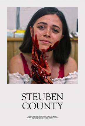 Torrent Filme Steuben County - Legendado 2021  1080p Full HD WEB-DL completo