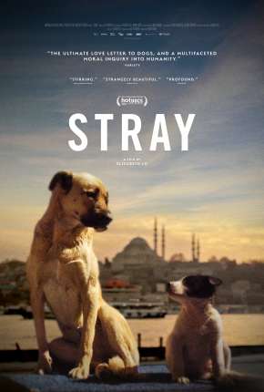 Stray - 2021 Legendado Filmes Torrent Download Vaca Torrent