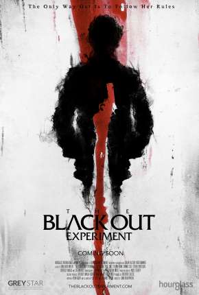 The Blackout Experiment - Legendado Filmes Torrent Download Vaca Torrent