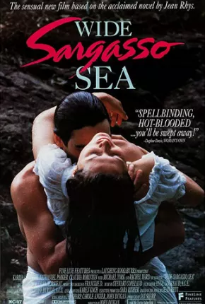 Torrent Filme Vasto Mar de Sargaços 1993 Dublado 720p HD WEB-DL completo