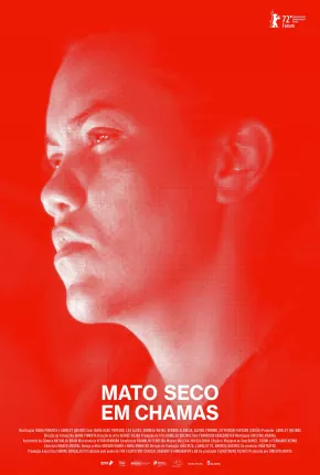 Torrent Filme Mato Seco em Chamas 2023 Nacional 1080p Full HD WEB-DL completo