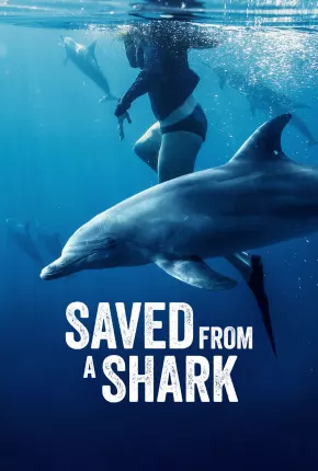 Torrent Filme Resgatados dos Tubarões 2023 Dublado 1080p WEB-DL completo