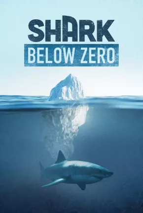 Shark Below Zero Filmes Torrent Download Vaca Torrent