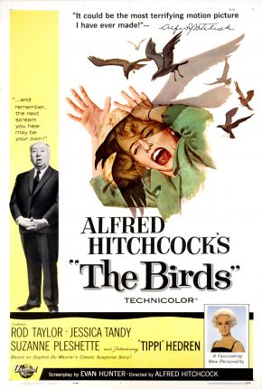 Torrent Filme Os Pássaros / The Birds 1963  1080p BluRay completo