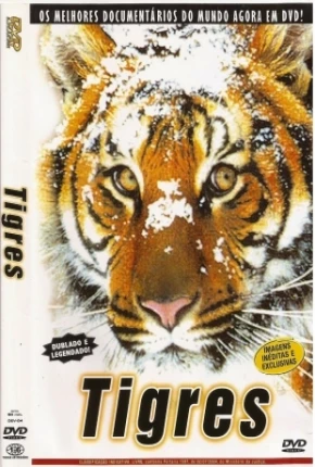 Torrent Filme Tigres / Na Sombra do Tigre 1999 Dublado 720p DVD-R DVDRip HD completo