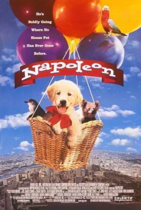 Filme Napoleon, as Aventuras de um Cãozinho Valente 1995 Torrent
