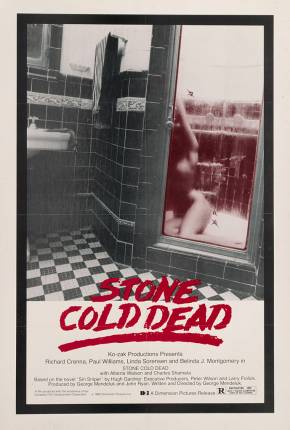 Filme O Exterminador do Pecado 1979 Torrent