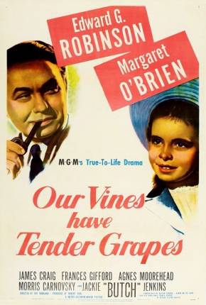 O Roseiral da Vida / Our Vines Have Tender Grapes Filmes Torrent Download Vaca Torrent