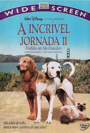 Filme A Incrível Jornada 2 - Perdidos em São Francisco 1996 Torrent
