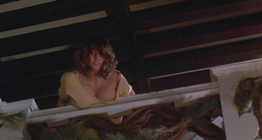 A Noite do Pavor - Legendado 1980 Filme 1080p 720p BluRay HD completo Torrent