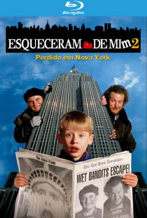 Esqueceram de Mim 2 - Perdido em Nova York BluRay Filmes Torrent Download Vaca Torrent