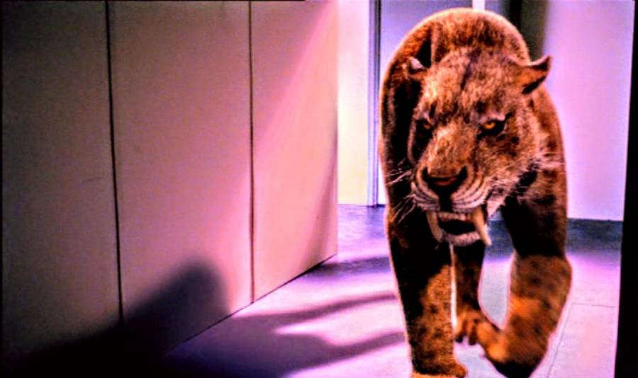 O Ataque do Dente de Sabre 2005 Filme 720p DVD-R DVDRip HD completo Torrent