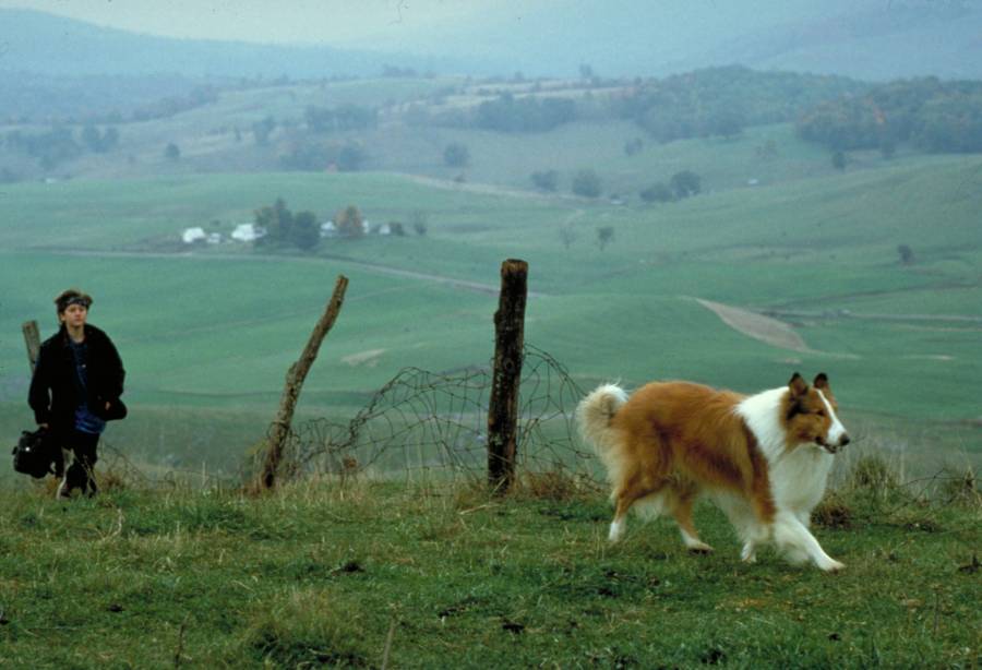 Lassie 1994 Filme 1080p BluRay completo Torrent