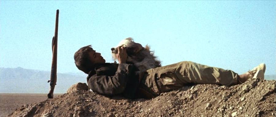O Menino e seu Cachorro - Legendado 1975 Filme 1080p BluRay completo Torrent