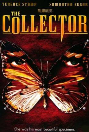 O Colecionador / The Collector Filmes Torrent Download Vaca Torrent