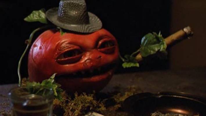 Corra Que Os Tomates Assassinos Vem aí / Killer Tomatoes Strike Back 1991 Filme 1080p 720p HD completo Torrent