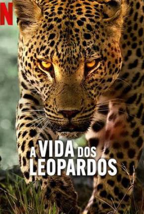 Filme A Vida dos Leopardos 2024 Torrent