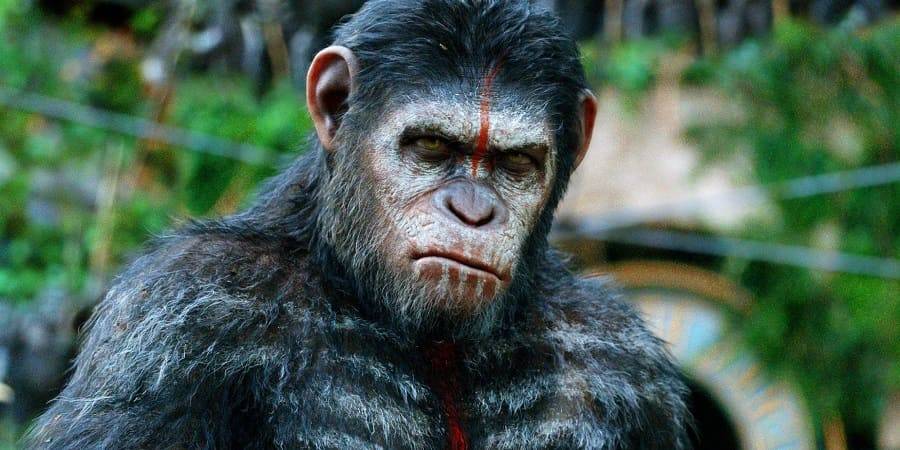 Planeta dos Macacos - Coleção Completa dos Atuais e Clássicos 2024 Filme 1080p 720p BDRip FullHD HD completo Torrent