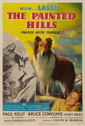 Filme Lassie - Heróis da Montanha 1951 Torrent