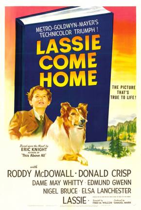 Filme Lassie - A Força do Coração 1943 Torrent