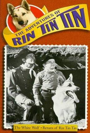 Torrent Série As Aventuras de Rin Tin Tin - 1ª Temporada 1954  1080p DVD-R DVDRip completo