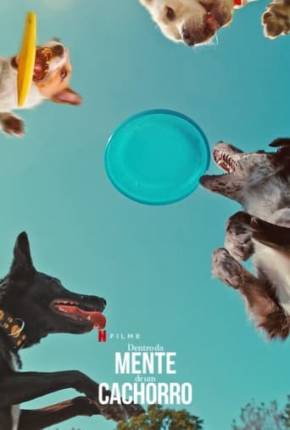 Torrent Filme Dentro da Mente de um Cachorro 2024 Dublado 1080p WEB-DL completo